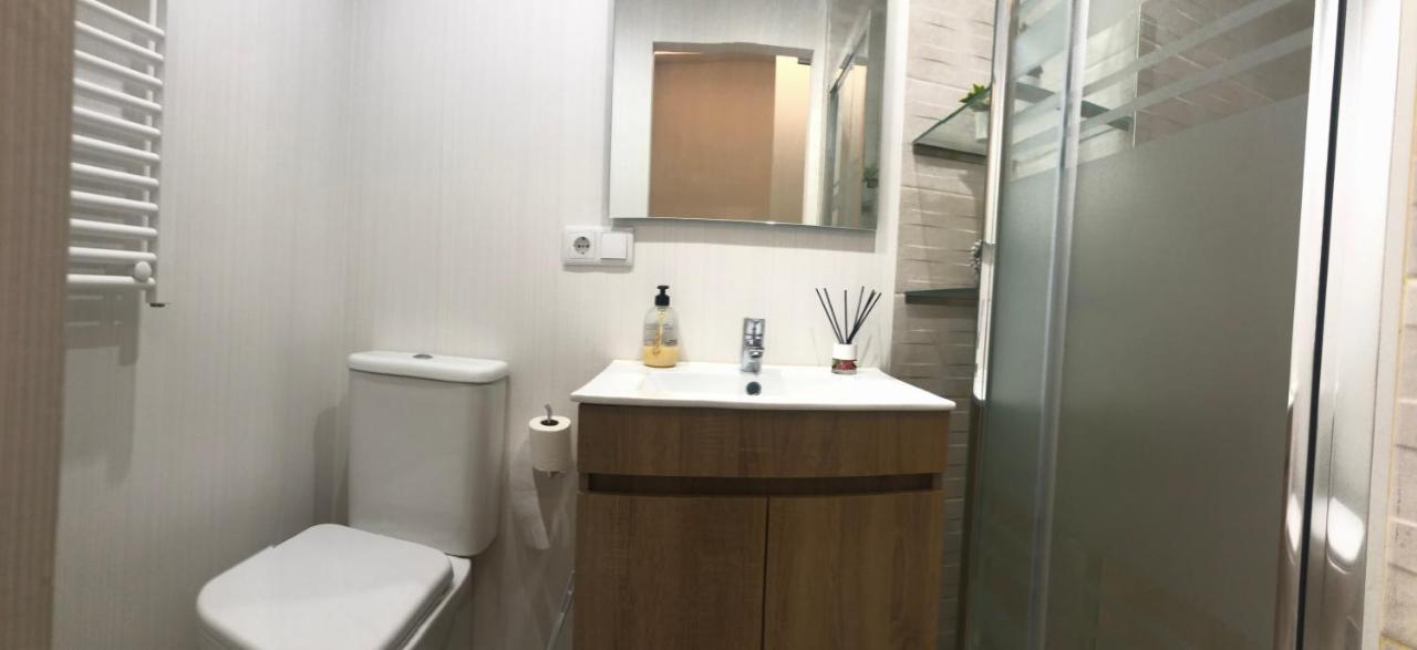 Burgo Alojamientos Castellana Jardin 1 Y 2 Parking Y Piscina Gratis!! מראה חיצוני תמונה